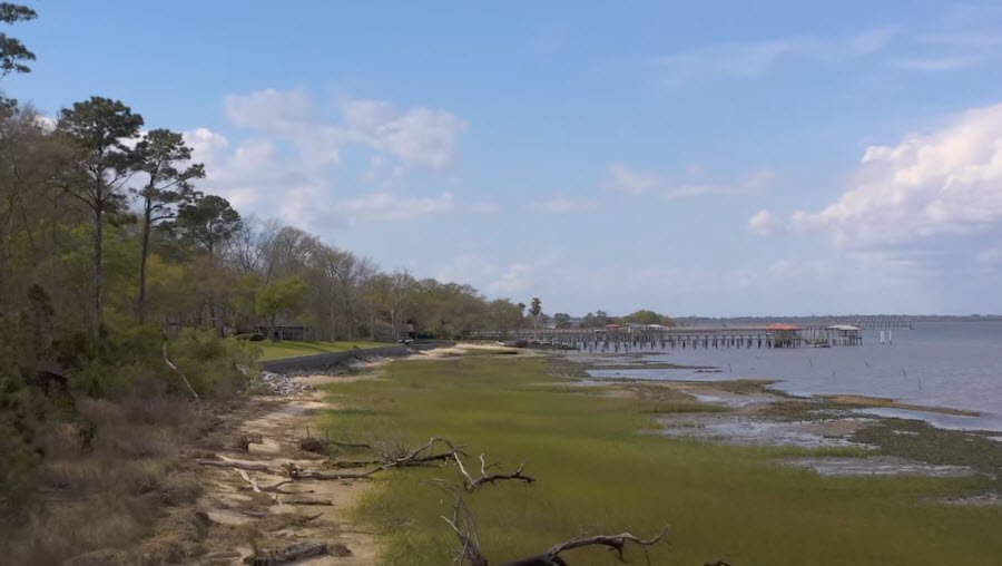 May Forest State Park, South Carolina, USA